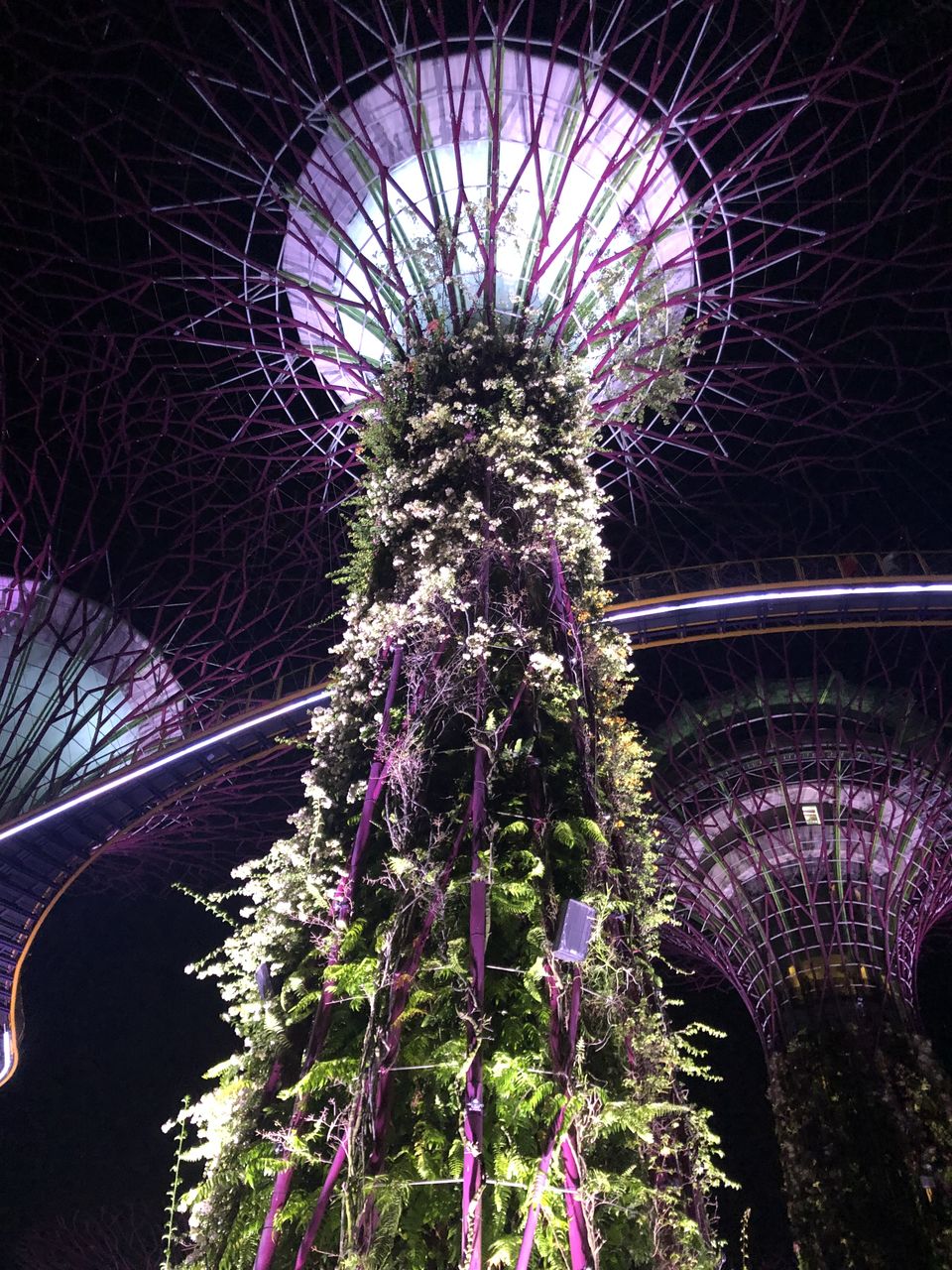 Photo of Marina Gardens Drive, Supertree Grove, Singapore by Shubhi Choudhary