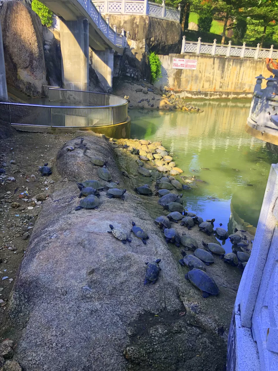 Photo of Kek Lok Si Temple, Air Itam, Penang, Malaysia by Shubhi Choudhary