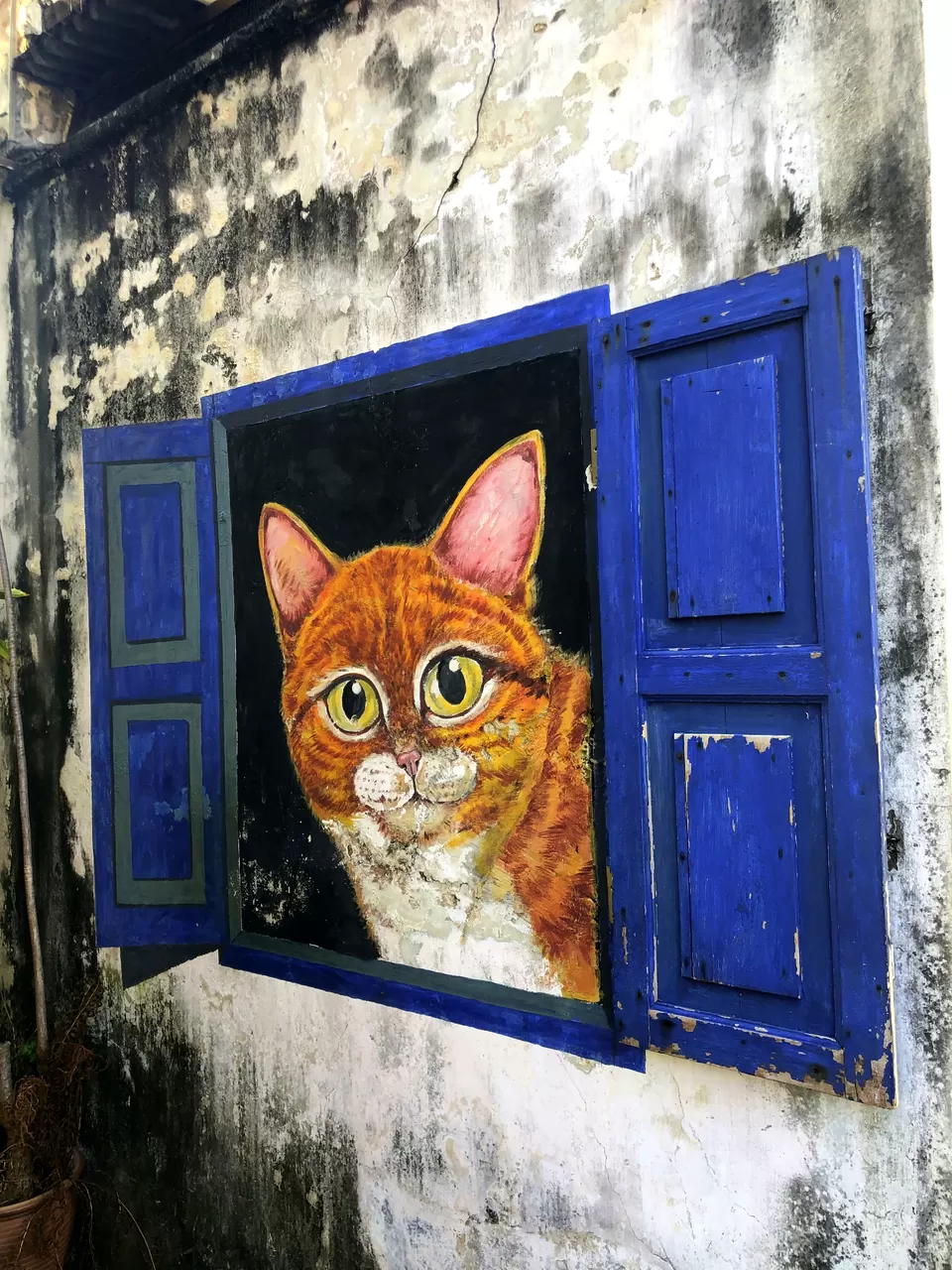 Photo of Penang Street Art, Georgetown, George Town, Penang, Malaysia by Shubhi Choudhary