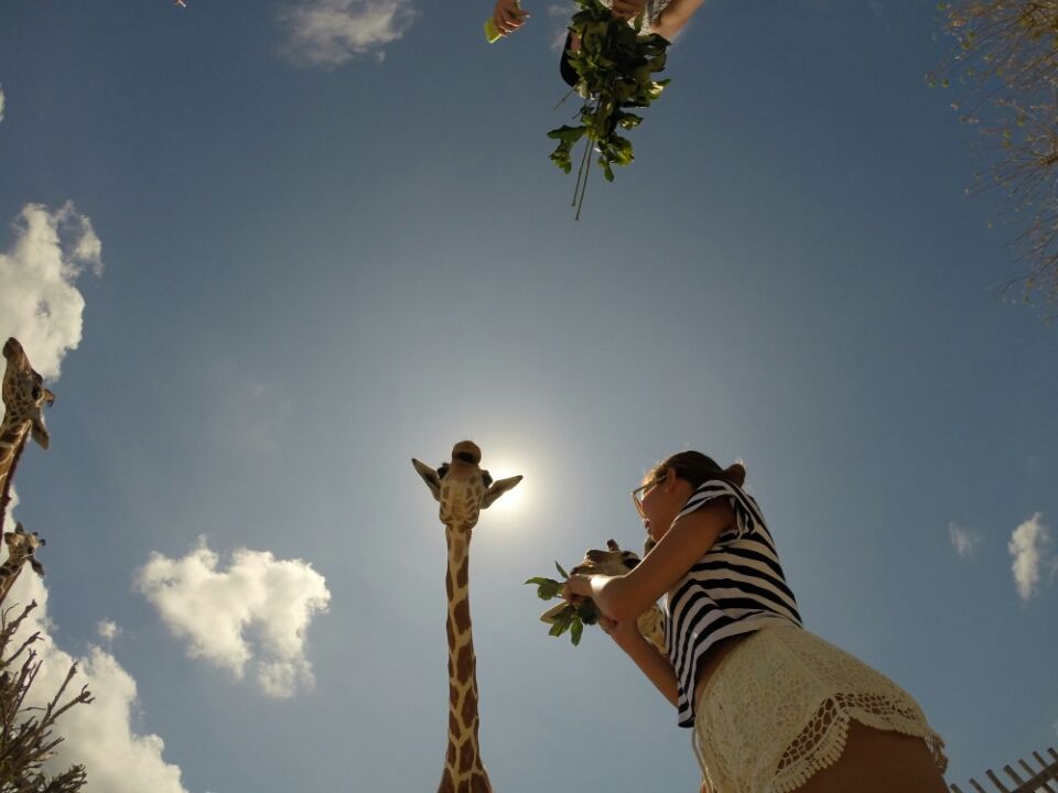 Photo of A slice of Africa in Busuanga 1/8 by AreWeThereYeth