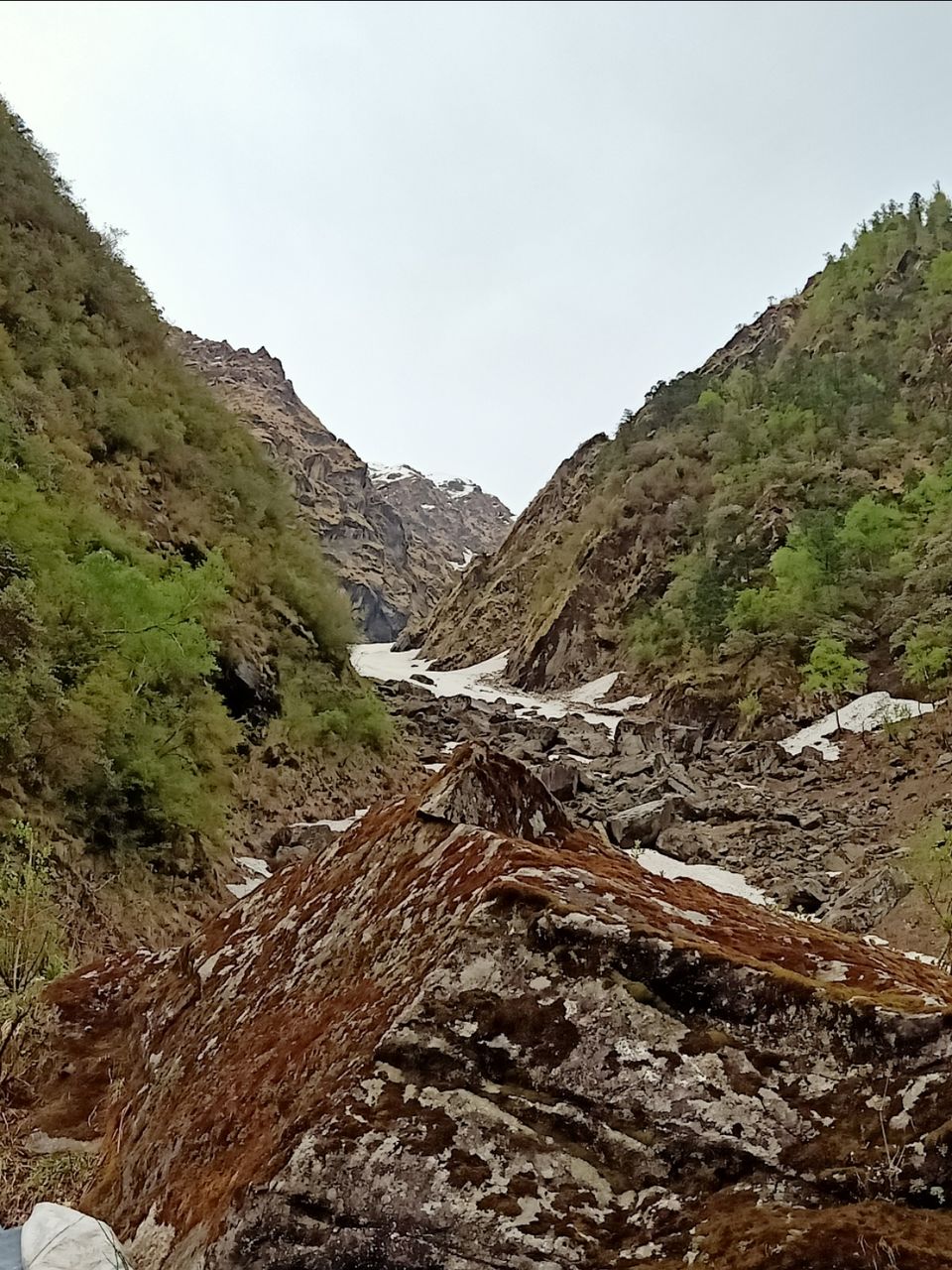 Photo of यात्रा भक्कष्टनिवारिणी केदारनाथ by Praveen Gupta (pk)