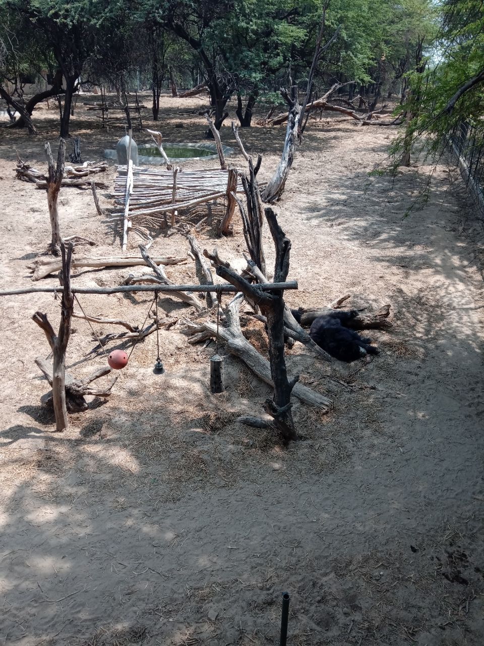 Photo of आगरा से मथुरा और वृंदावन - यात्रा by Praveen Gupta (pk)