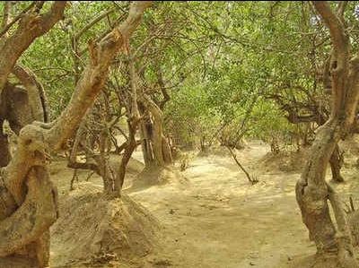 Photo of आगरा से मथुरा और वृंदावन - यात्रा by Praveen Gupta (pk)