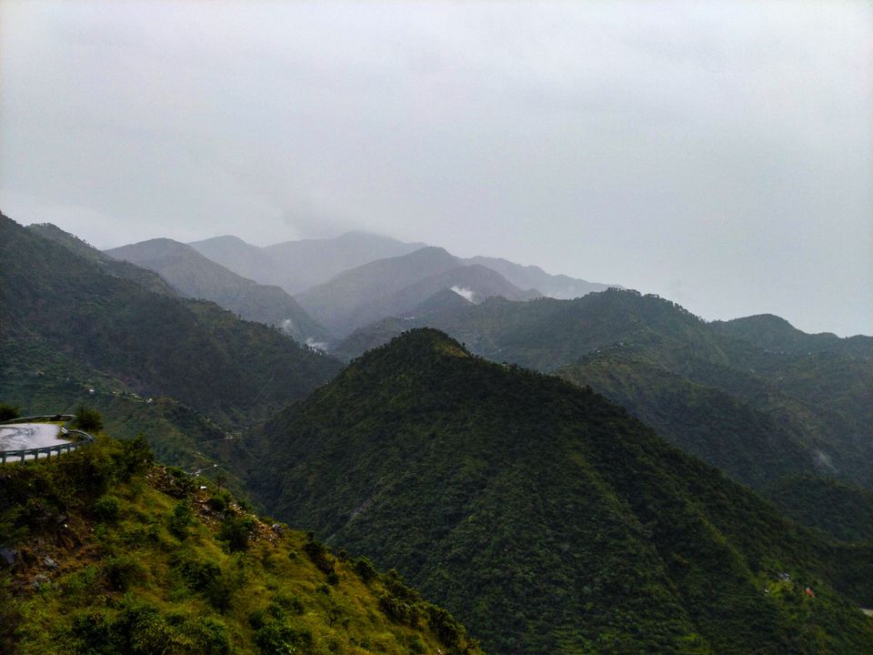 Photo of Bagi by Osho Tiwary