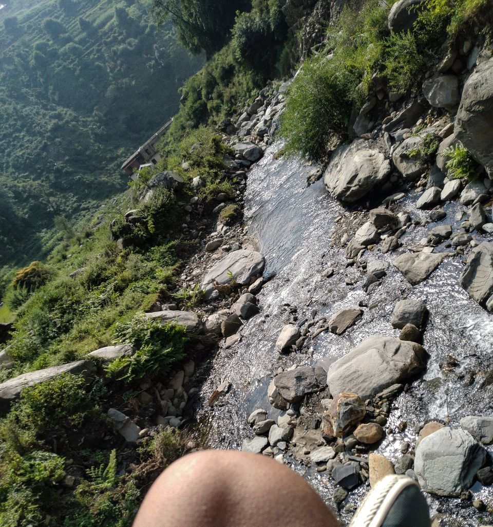 Photo of Bagi by Osho Tiwary