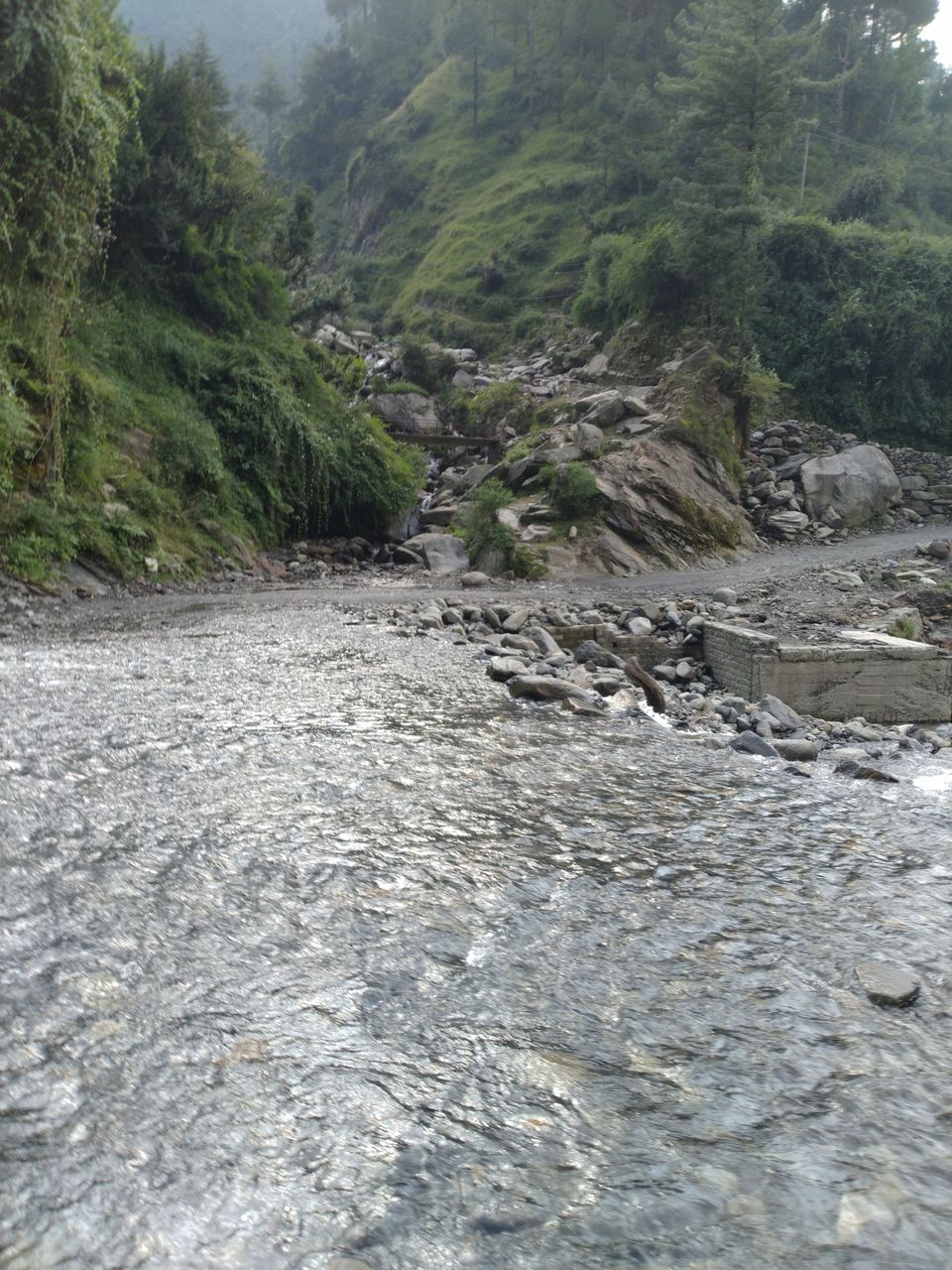 Photo of Bagi by Osho Tiwary
