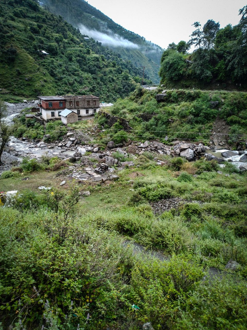 Photo of Bagi by Osho Tiwary