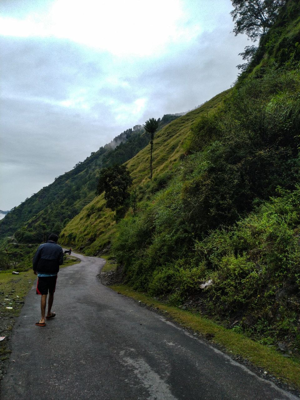 Photo of Bagi by Osho Tiwary