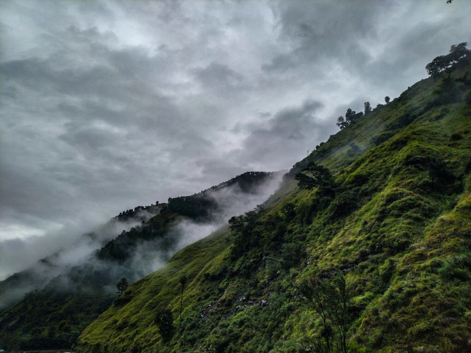 Photo of Bagi by Osho Tiwary