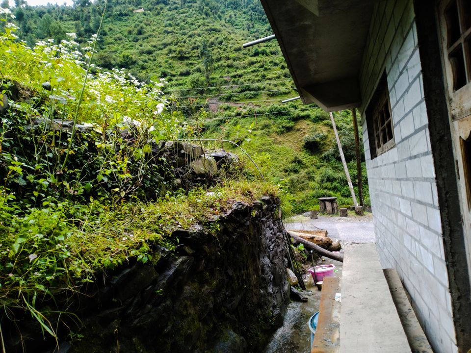 Photo of Bagi by Osho Tiwary