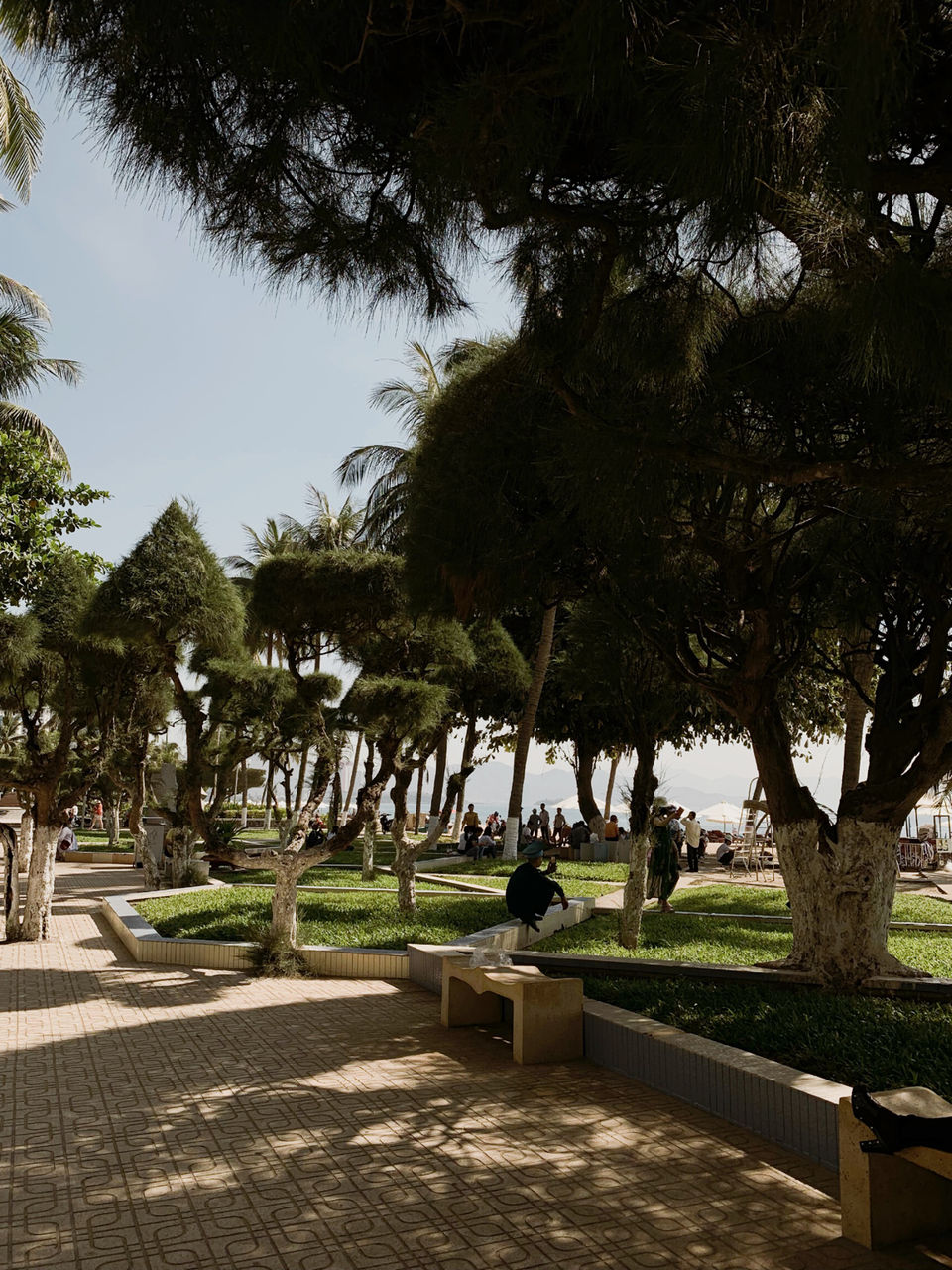 Photo of Tropical Nha Trang by Sukanya Chattopadhyay