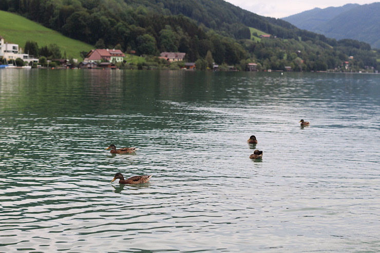 Photo of 8 Days Road Trip in Austria 28/53 by Umang Gupta