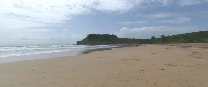 Photo of Ganeshgule, Maharashtra, India by Harikrishna Natrajan