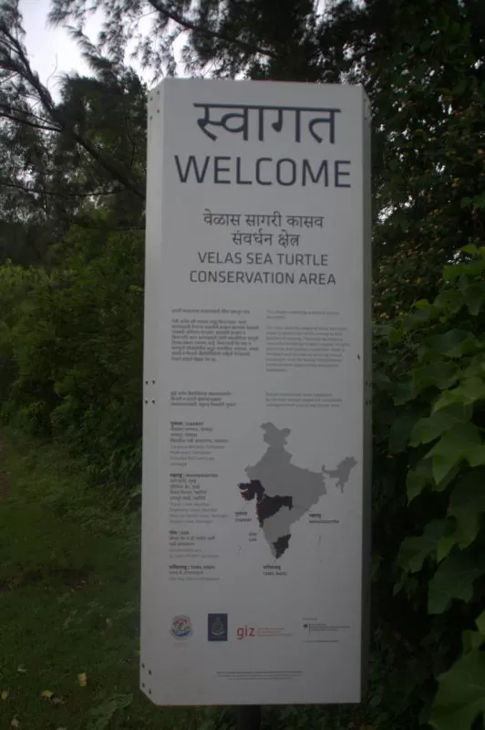 Photo of Velas Beach, Velas Agar, Maharashtra by Harikrishna Natrajan