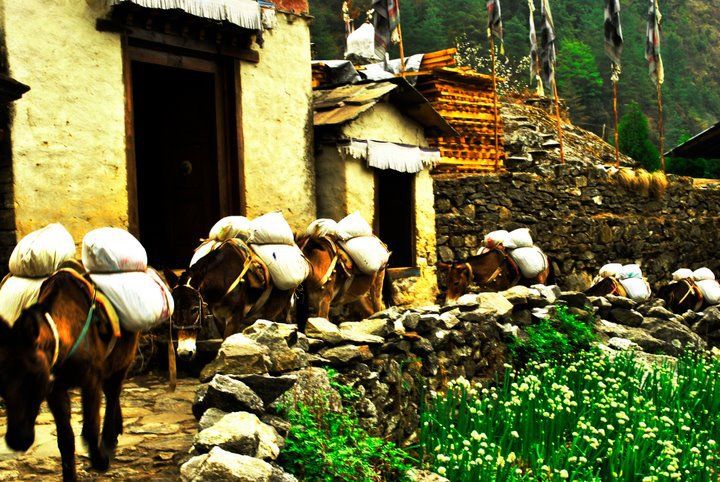 Photo of Lukla - Everest Base Camp Trekking Route, Khumjung, Eastern Region, Nepal by Shubham Yadav