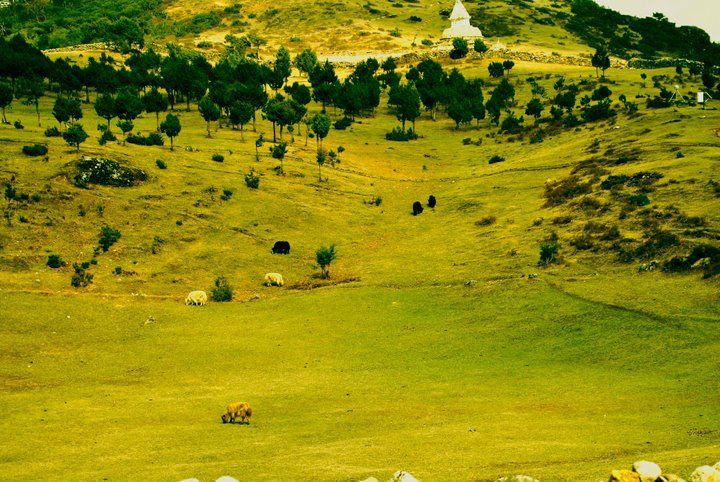Photo of Khumjung Village, Khumjung, Eastern Region, Nepal by Shubham Yadav