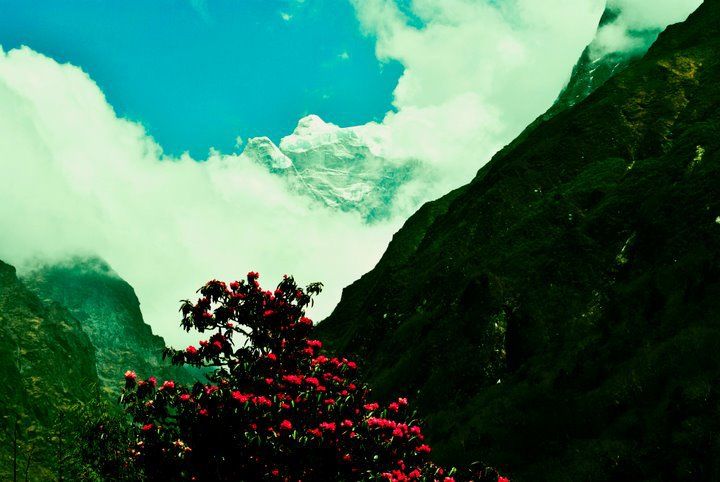 Photo of Tengboche Monastery, Khumjung, Eastern Region, Nepal by Shubham Yadav