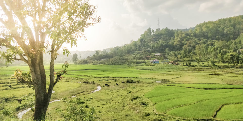 Photo of A 4 day trek to the mighty Himalayas in Nepal- Ghorepani Poon Hill 7/41 by Kheervani
