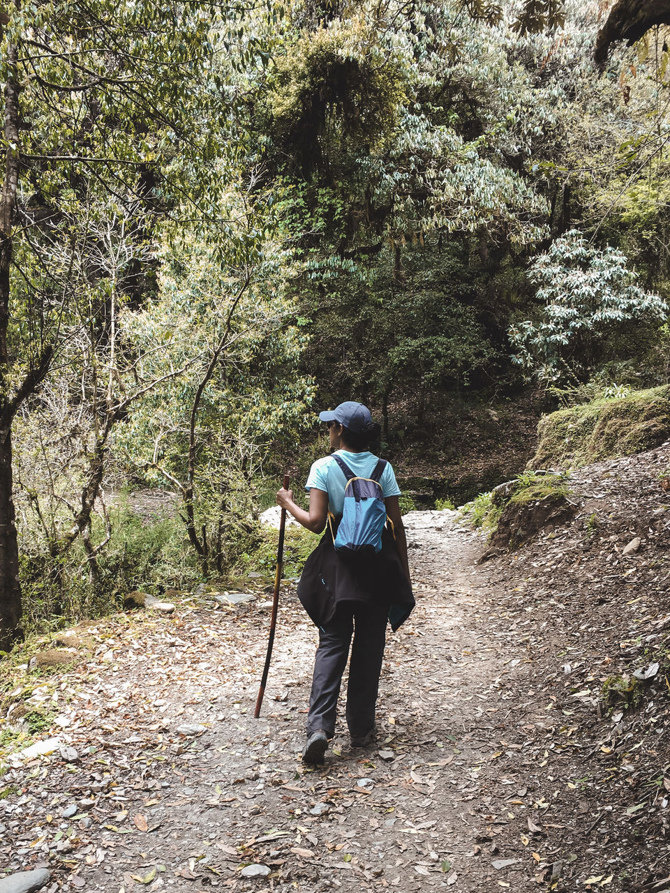 Photo of A 4 day trek to the mighty Himalayas in Nepal- Ghorepani Poon Hill 20/41 by Kheervani