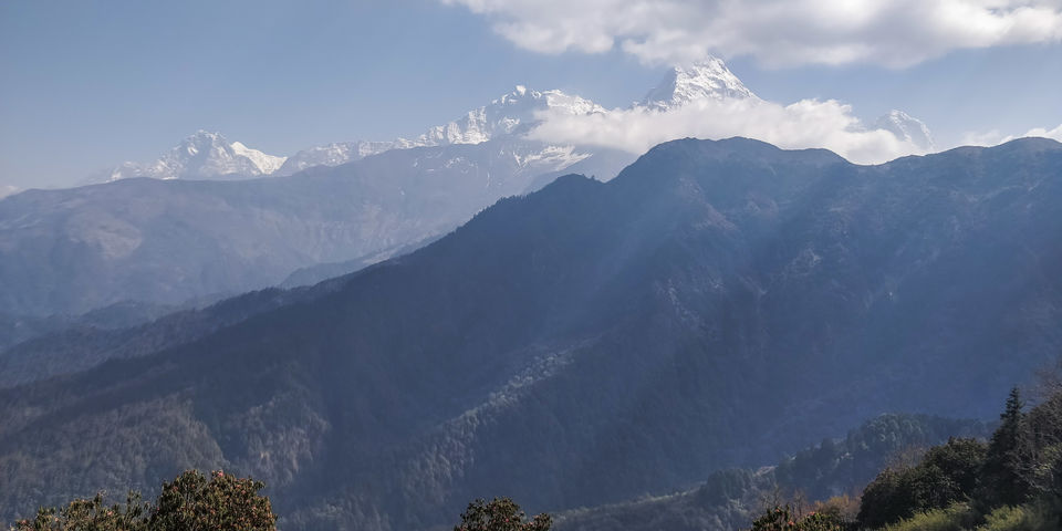 Photo of A 4 day trek to the mighty Himalayas in Nepal- Ghorepani Poon Hill 21/41 by Kheervani