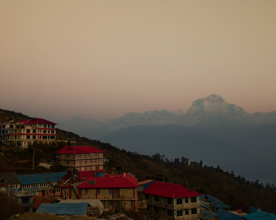 Photo of A 4 day trek to the mighty Himalayas in Nepal- Ghorepani Poon Hill 24/41 by Kheervani