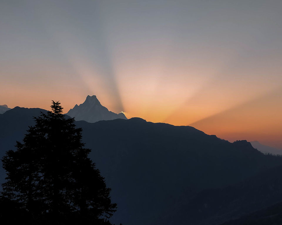 Photo of A 4 day trek to the mighty Himalayas in Nepal- Ghorepani Poon Hill 25/41 by Kheervani