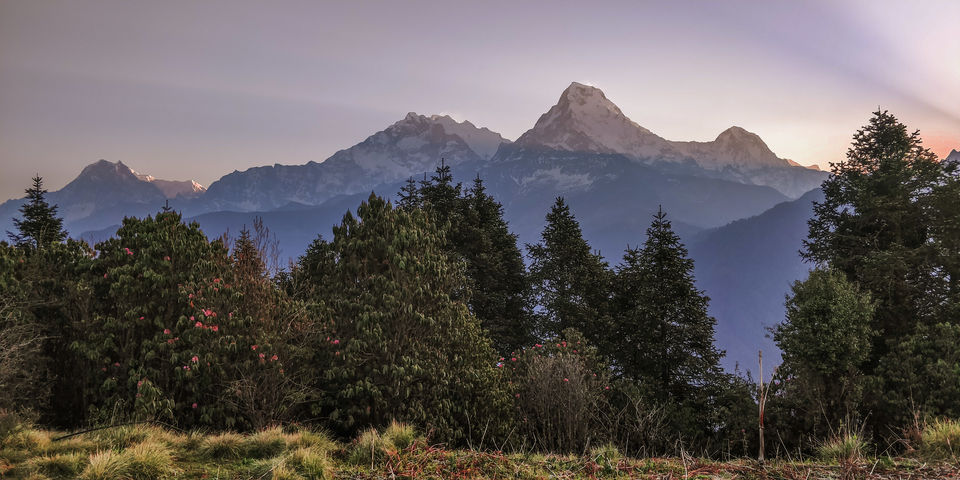 Photo of A 4 day trek to the mighty Himalayas in Nepal- Ghorepani Poon Hill 26/41 by Kheervani
