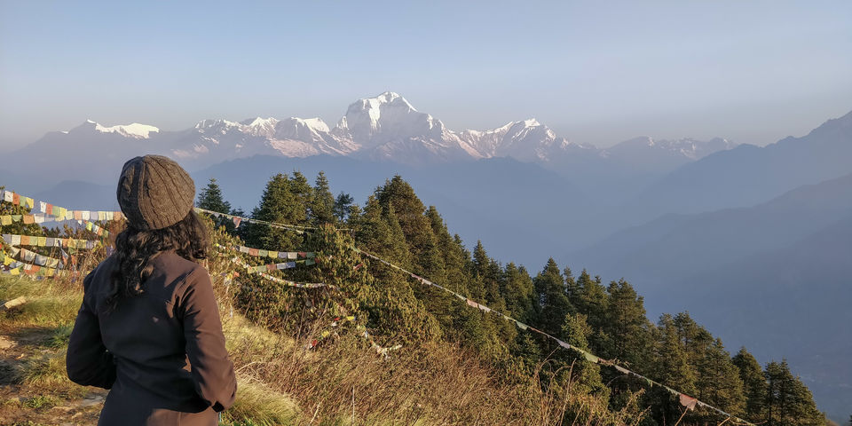 Photo of A 4 day trek to the mighty Himalayas in Nepal- Ghorepani Poon Hill 28/41 by Kheervani