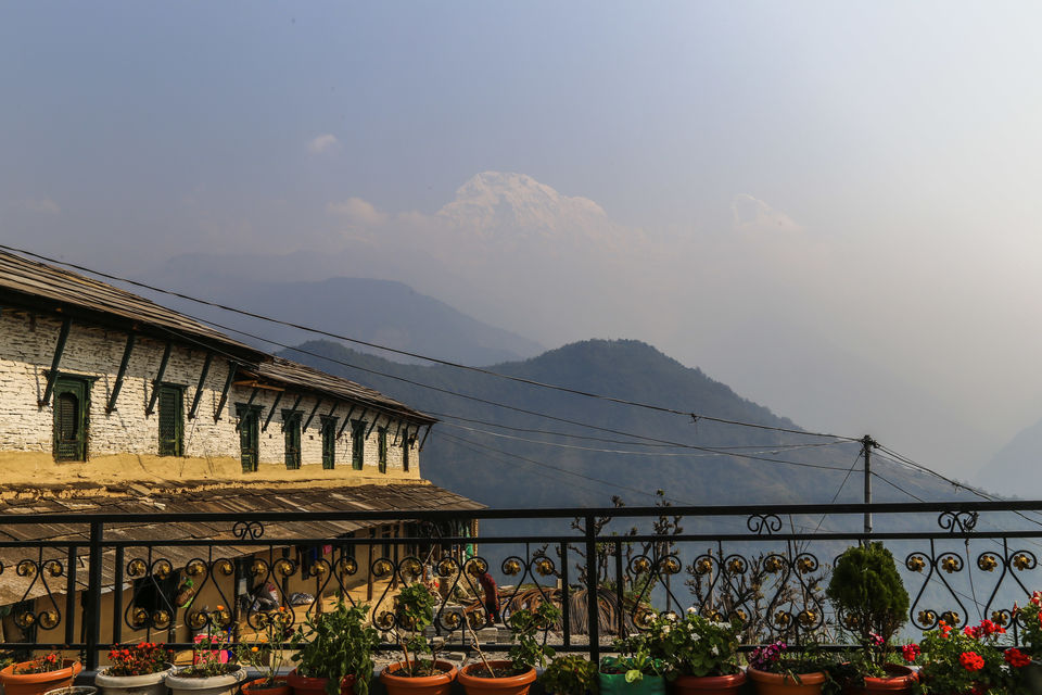 Photo of A 4 day trek to the mighty Himalayas in Nepal- Ghorepani Poon Hill 39/41 by Kheervani