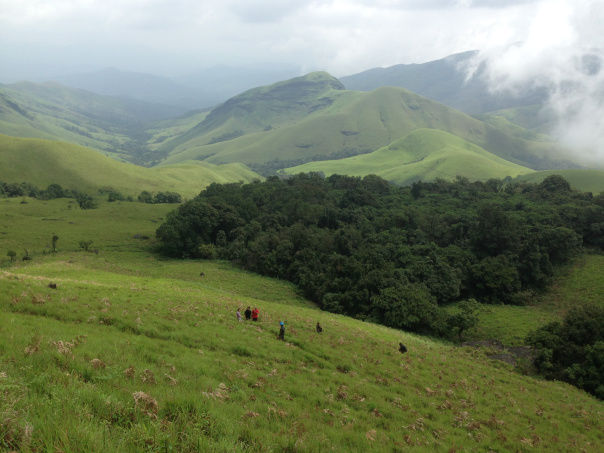 Photo of Kudremukh : A peak into paradise 3/12 by srijalism
