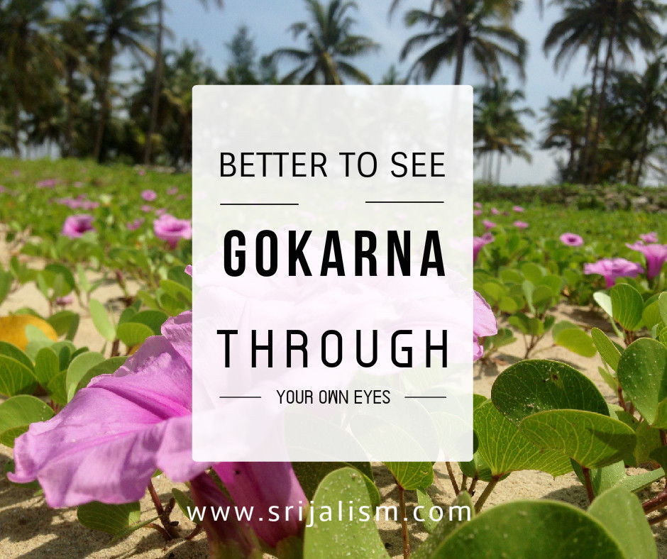 Photo of An year in 'Namma Karnataka' 14/17 by srijalism