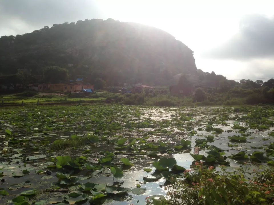 Photo of Ramanagara, Karnataka, India by srijalism