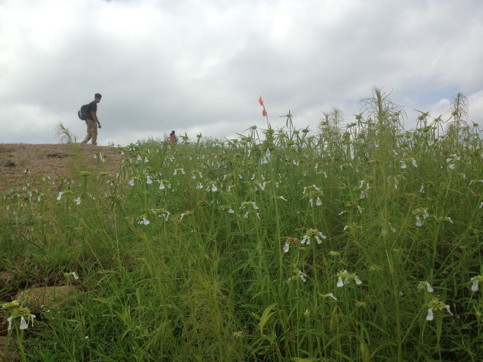 Photo of Entering the Silk Sholay : Ramanagara 10/15 by srijalism