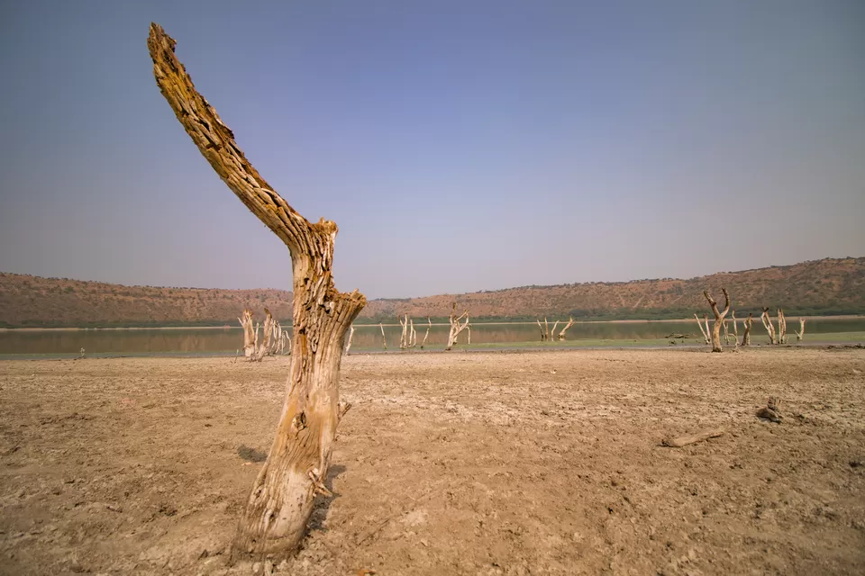 Photo of Lonar Lake, Lonar, Maharashtra, India by Padmanabh Choudhury