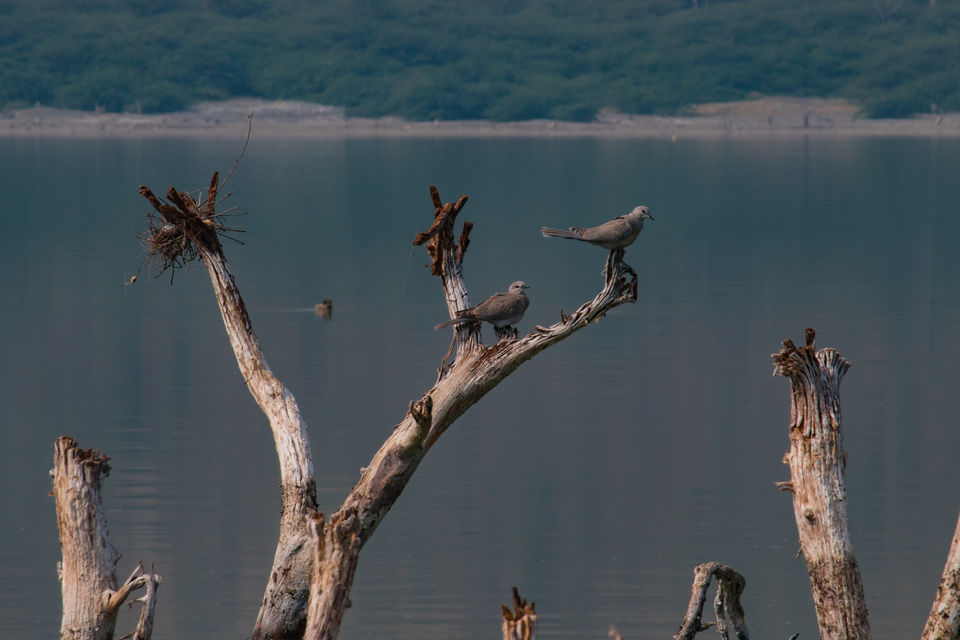 Photo of Lonar Lake, Lonar, Maharashtra, India by Padmanabh Choudhury