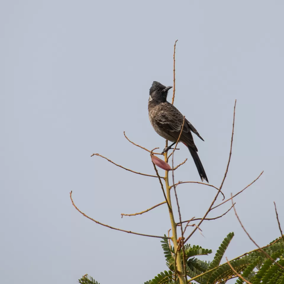 Photo of MTDC Resort Lonar, Patel Nagar, Buldhana, Maharashtra, India by Padmanabh Choudhury