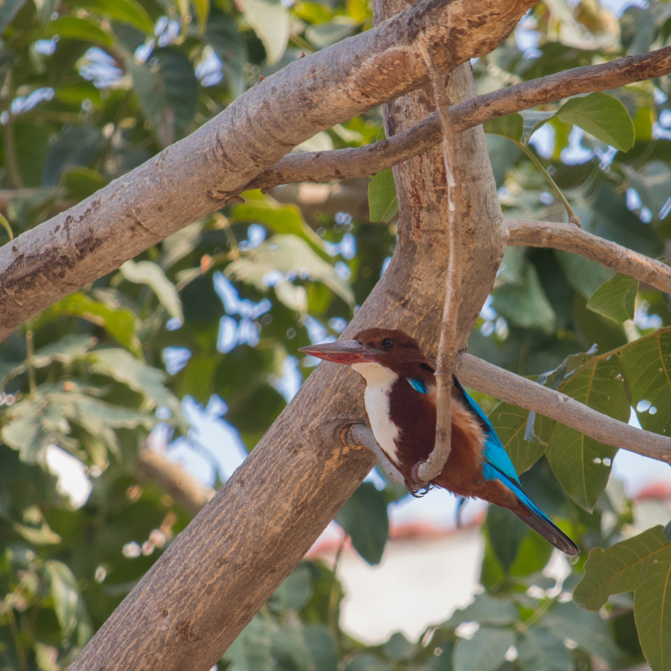 Photo of MTDC Resort Lonar, Patel Nagar, Buldhana, Maharashtra, India by Padmanabh Choudhury