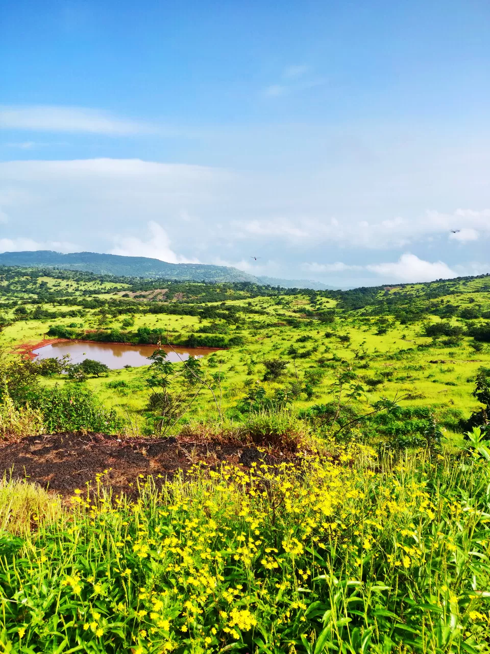Photo of When Kaas was not 'Kaash' anymore #BucketList2019 by Deepa Khanolkar