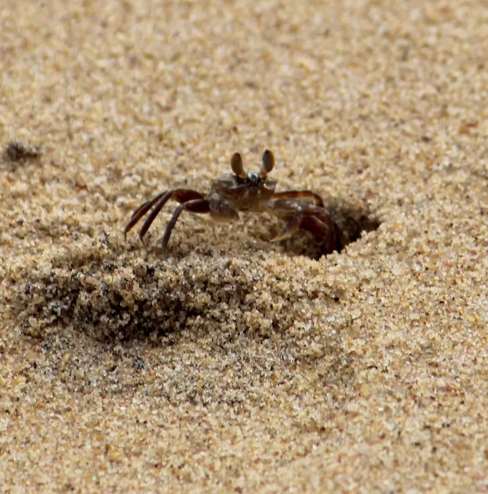 Photo of Gopalpur-on-Sea, Odisha, India by Shreya Behera