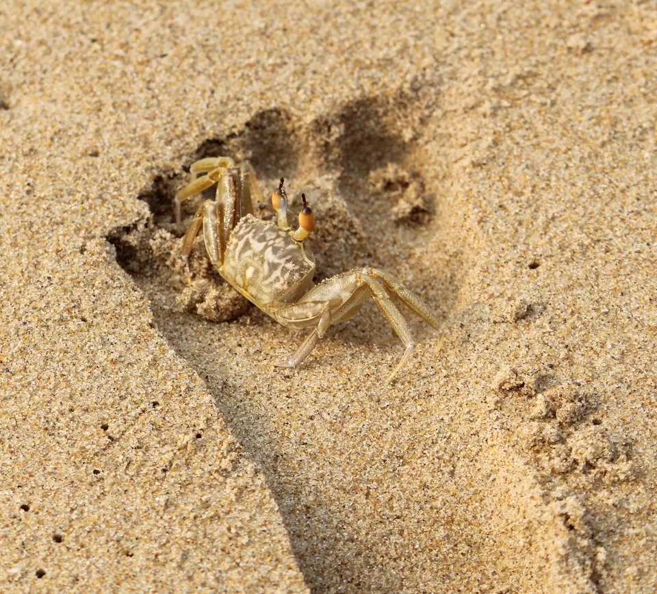 Photo of Gopalpur-on-Sea, Odisha, India by Shreya Behera
