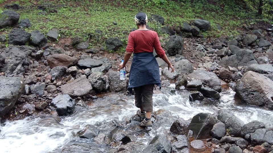 Photo of The Satavahana Trade Route – Trek to Naneghat in Western Ghats, India 2/18 by Dipanwita Chakraborty