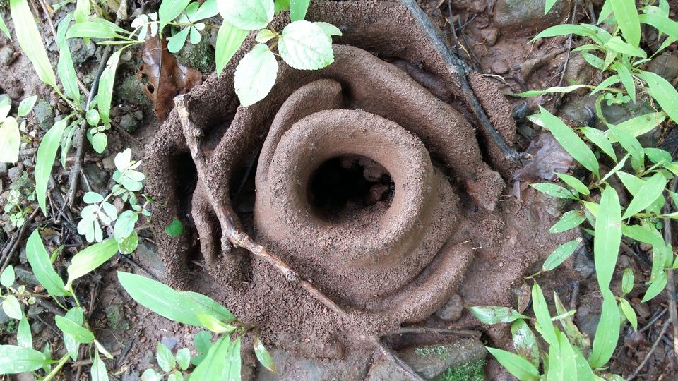 Photo of The Satavahana Trade Route – Trek to Naneghat in Western Ghats, India 3/18 by Dipanwita Chakraborty