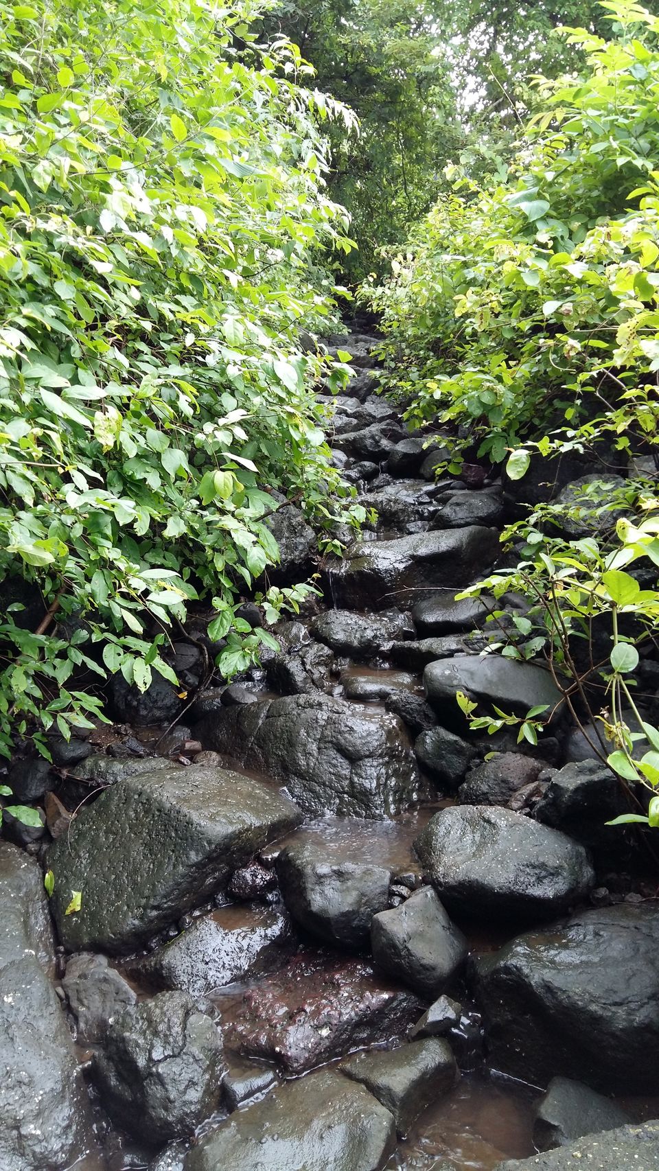 Photo of The Satavahana Trade Route – Trek to Naneghat in Western Ghats, India 8/18 by Dipanwita Chakraborty