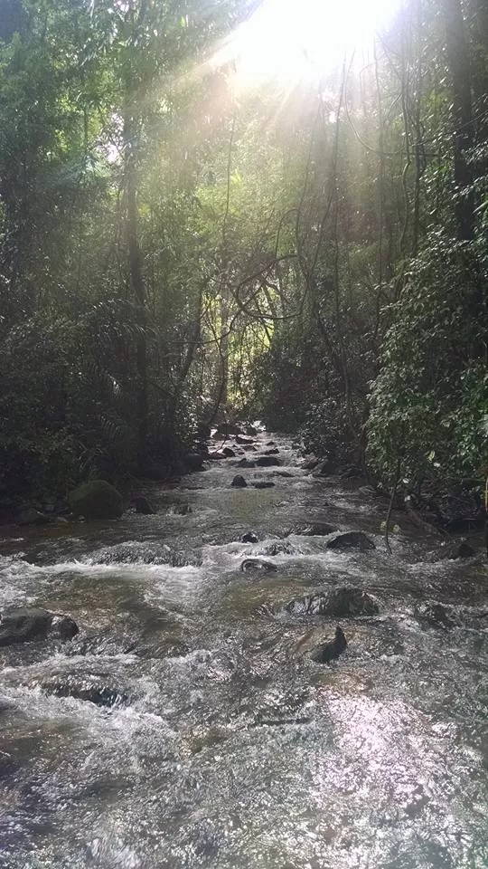 Photo of Tambdi Surla Waterfall, Surla, Goa, India by Dipanwita Chakraborty