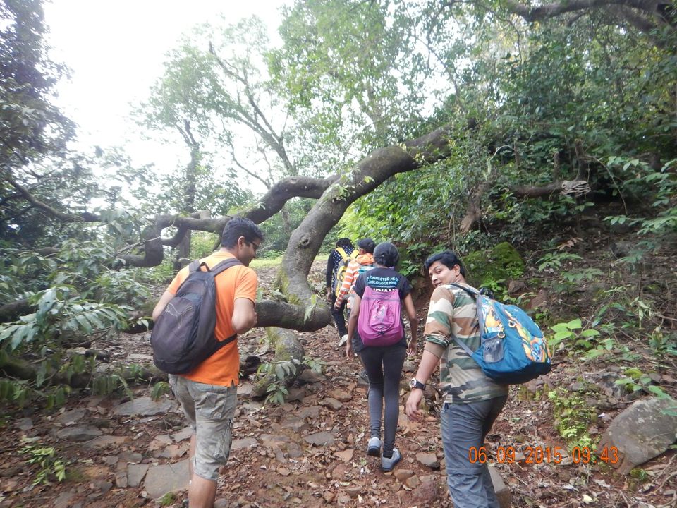 Photo of The Sunday Sunbathing - Trek To Matheran Via Garbett Plateau, Western Ghats, India 5/39 by Dipanwita Chakraborty