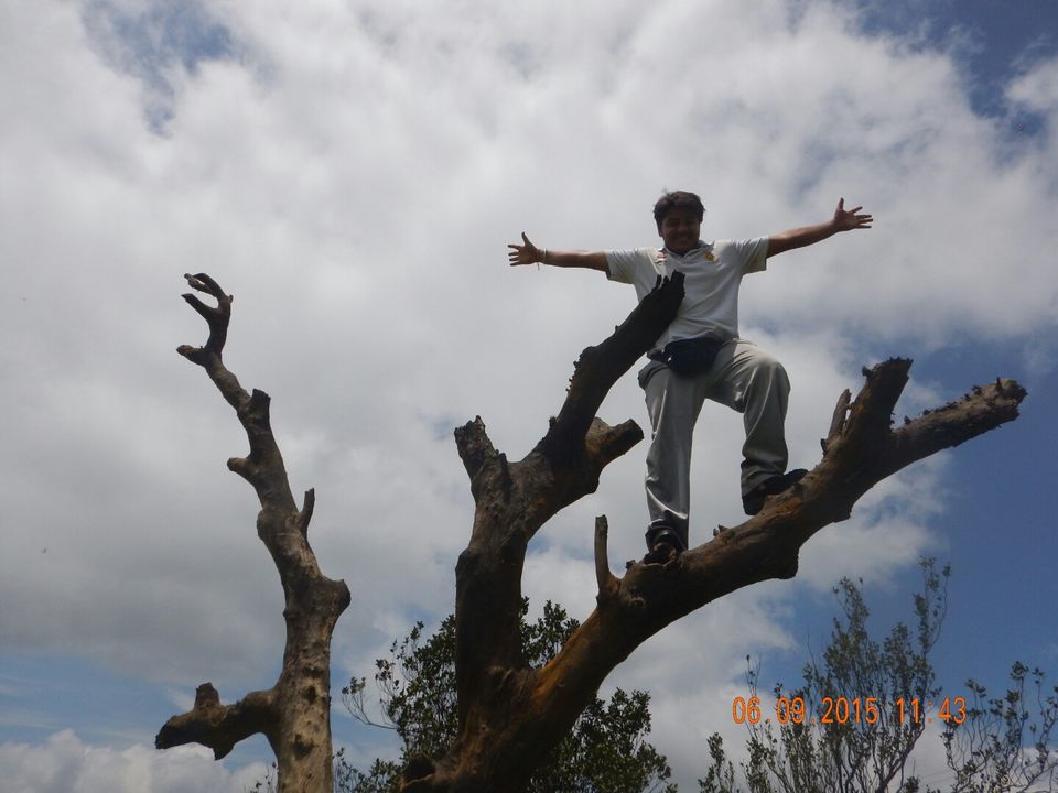 Photo of The Sunday Sunbathing - Trek To Matheran Via Garbett Plateau, Western Ghats, India 20/39 by Dipanwita Chakraborty