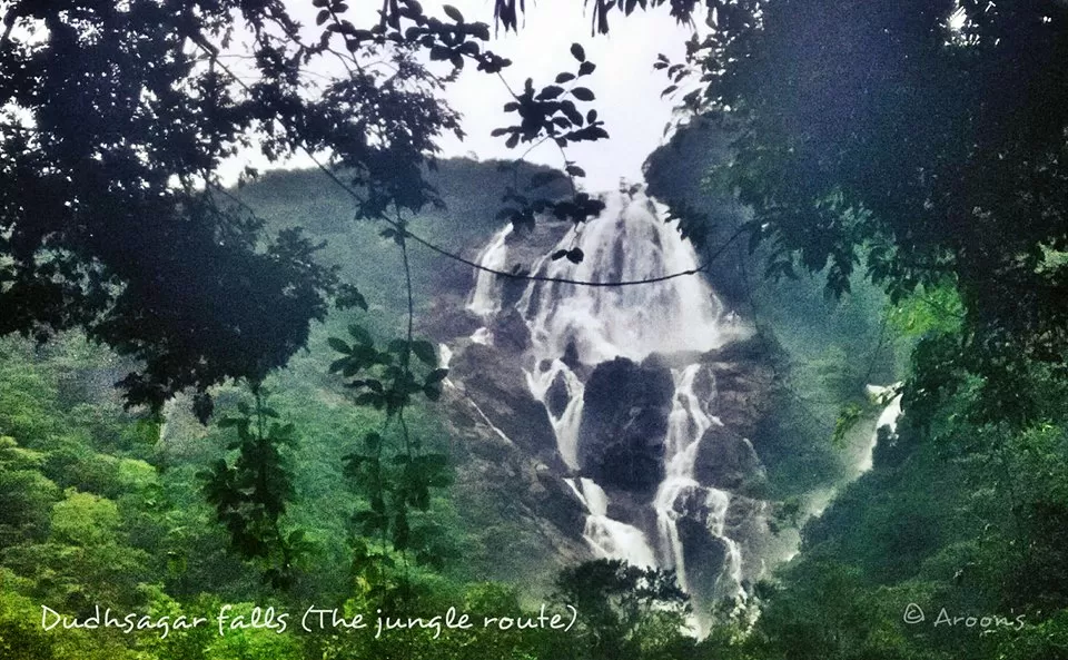Photo of Dudhsagar Falls, Sonaulim, Goa, India by Dipanwita Chakraborty