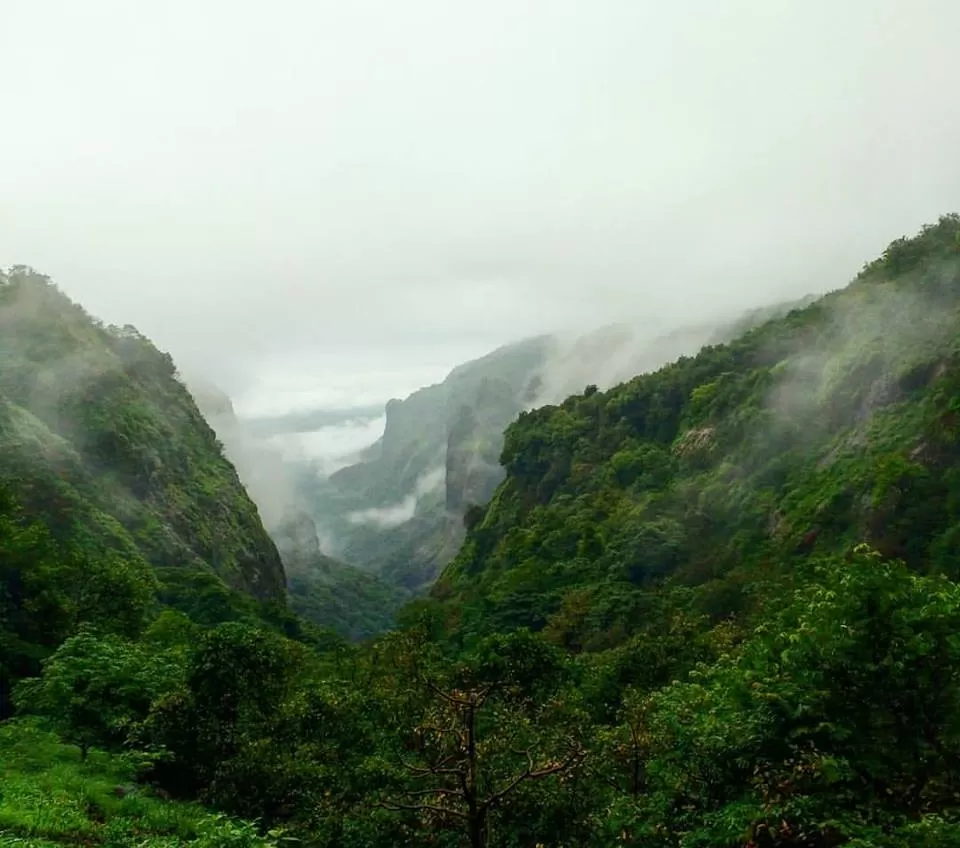 Photo of Andharban Trail start point, Pimpri, Maharashtra, India by Dipanwita Chakraborty