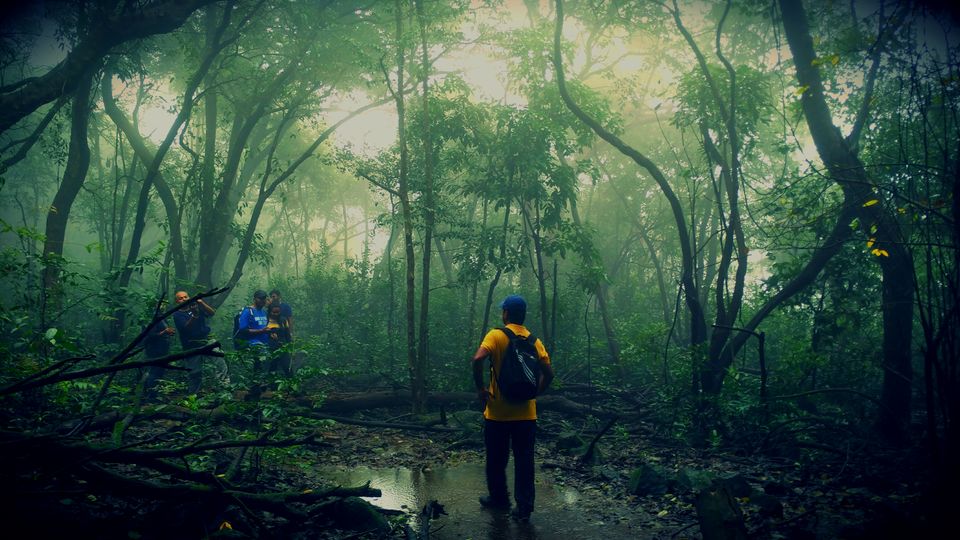 Photo of The Trails Dwelling in Darkness- Jungle Trek to Andharban by Dipanwita Chakraborty
