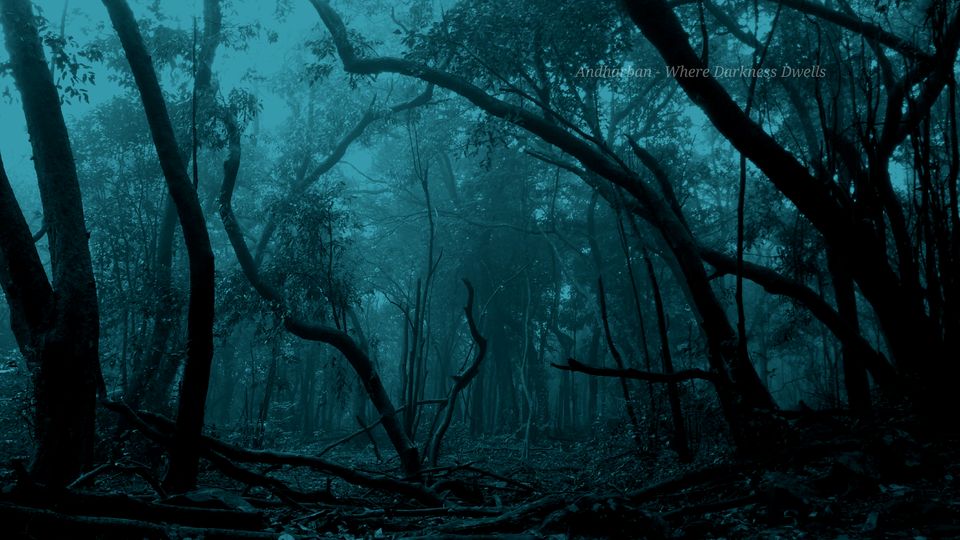 Photo of The Trails Dwelling in Darkness- Jungle Trek to Andharban by Dipanwita Chakraborty